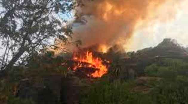 Quiso hacer un video para TikTok y provocó un incendio forestal en México
