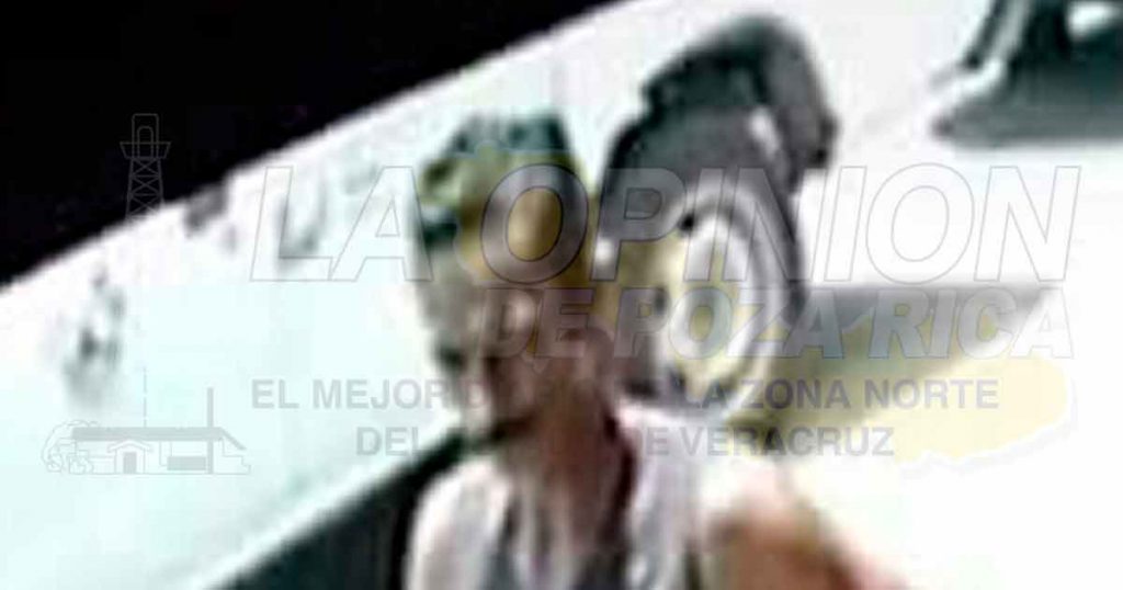 Roban bolso de una mujer