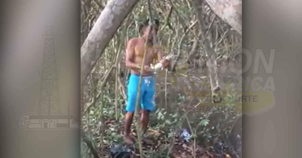 Piden reportar presencia de reptiles en domicilios