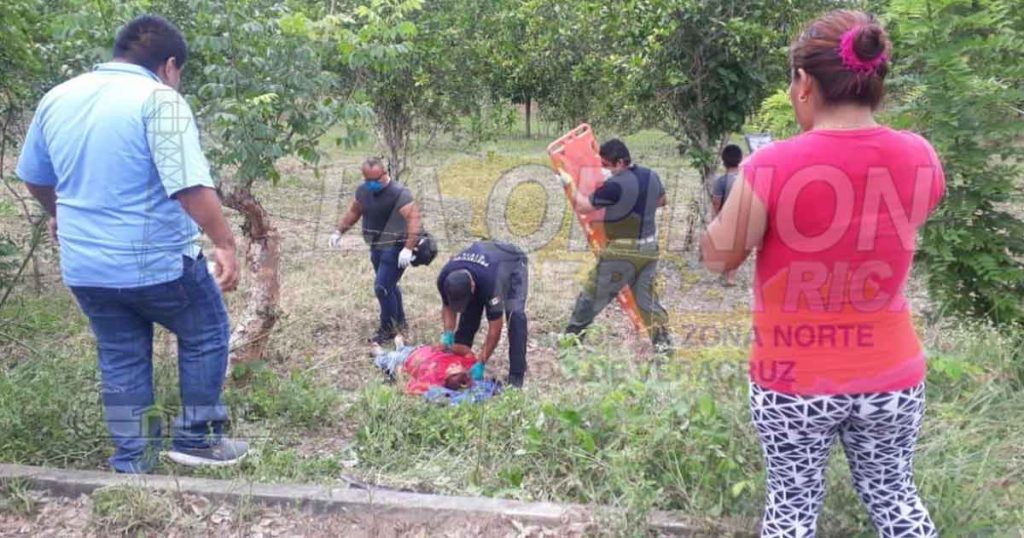 Atropellados y abandonados a su suerte en medio de la nada