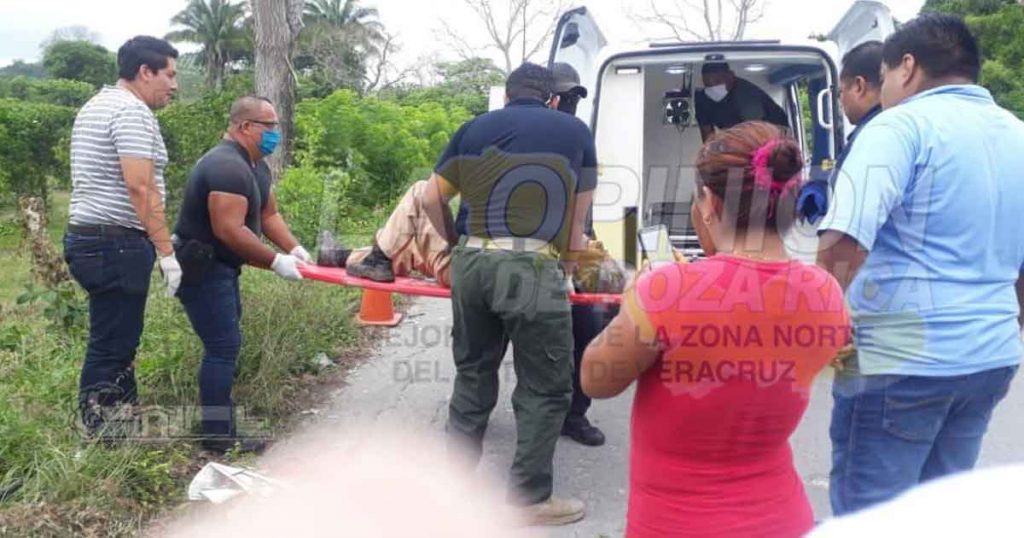 Atropellados y abandonados a su suerte en medio de la nada