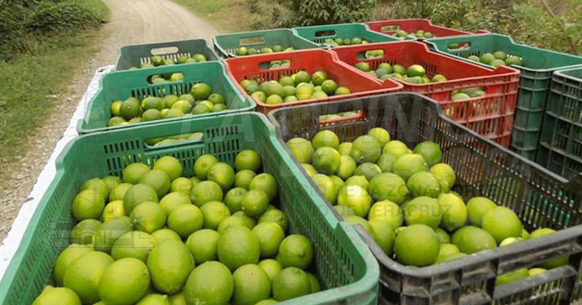 Coyotaje le pega a comunidades