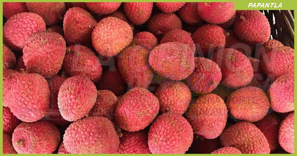 Salen a vender litchi