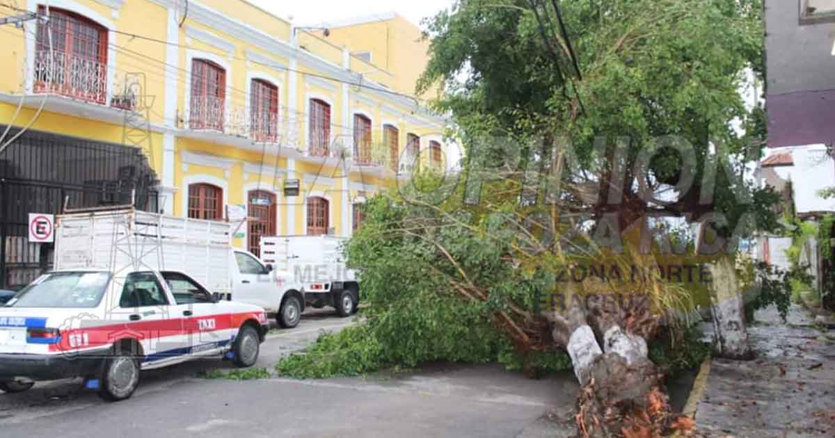 En varias comunidades de Coatzintla, reportan afectaciones en servicio de energía eléctrica