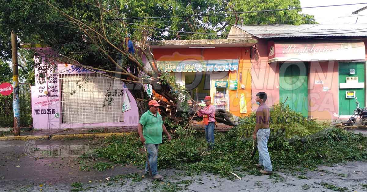 En varias comunidades de Coatzintla, reportan afectaciones en servicio de energía eléctrica