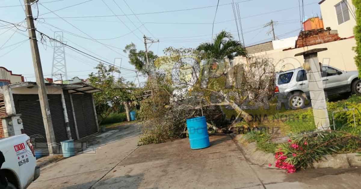En varias comunidades de Coatzintla, reportan afectaciones en servicio de energía eléctrica