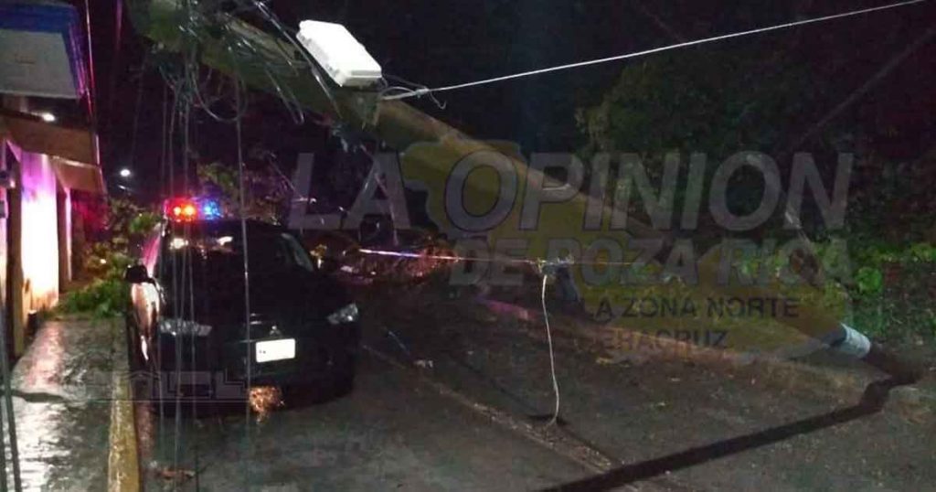Árbol cae y tumba poste de Telmex