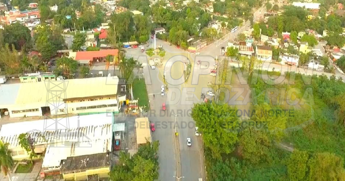 Se roban borregos de una granja