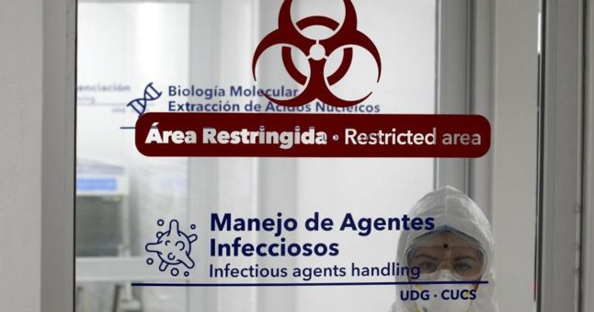 Coronavirus en México: las dudas que genera que el país entre en "la nueva normalidad" aunque siga en su fase de más contagios y muertes