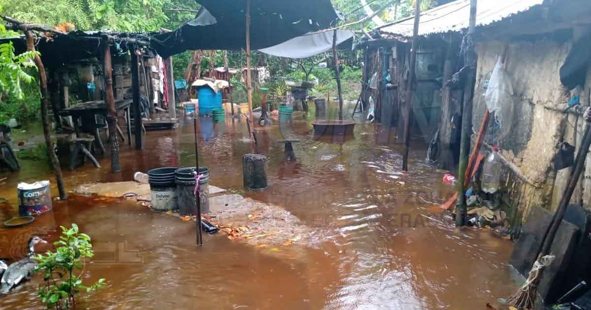 Apoyan a familias de la Sierra de Otontepec