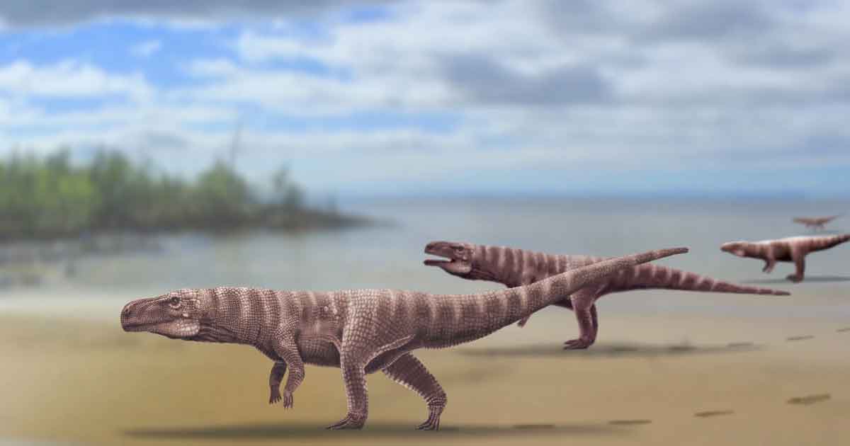 Un ancestro del cocodrilo de dos patas dejó estás huellas