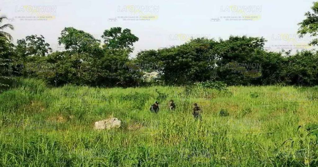Encuentran cadáver metido entre la maleza en Martínez dela Torre