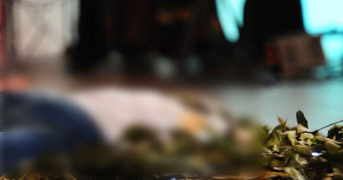 Zamora y Tihuatlán: riesgo para mujeres