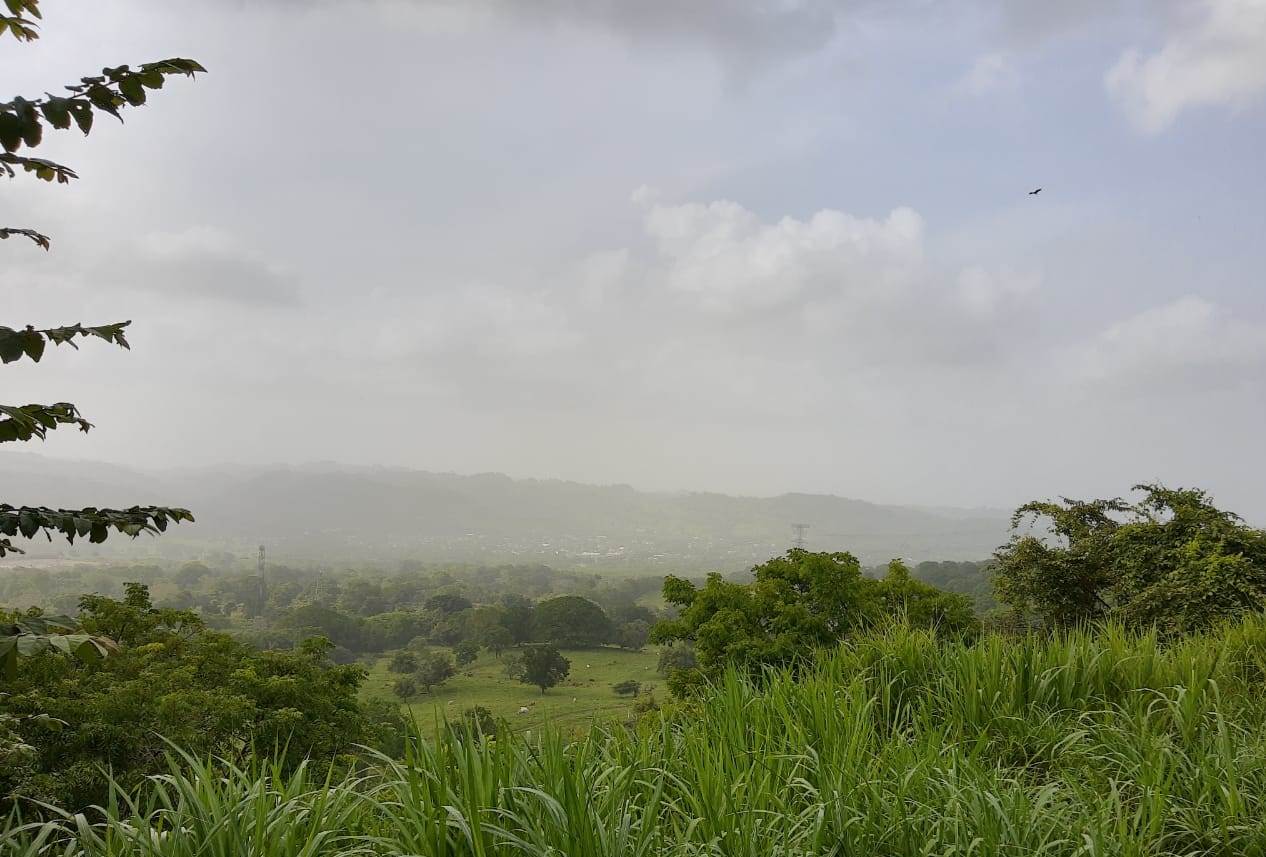 Se registran alergias por polvo del Sahara