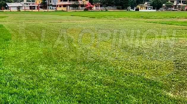 Intentan hacer uso de campos deportivos en plena contingencia por Covid-19