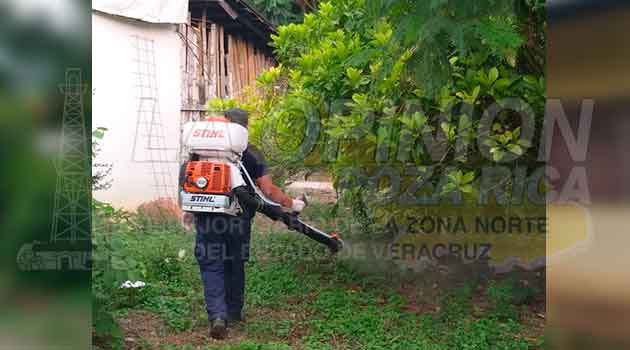 No más dengue, evitan proliferación de mosquitos