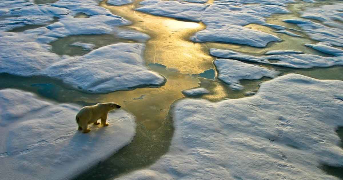 El Covid-19 no frena el cambio climático: la temperatura en el Ártico lo prueba