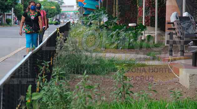 En Poza Rica Paseo Raíces de Vida en completo olvido