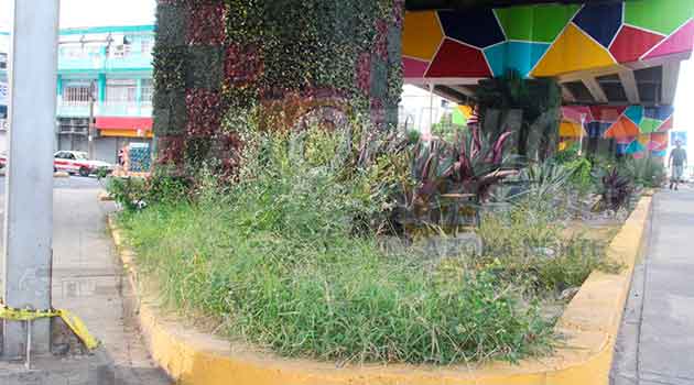 En Poza Rica Paseo Raíces de Vida en completo olvido
