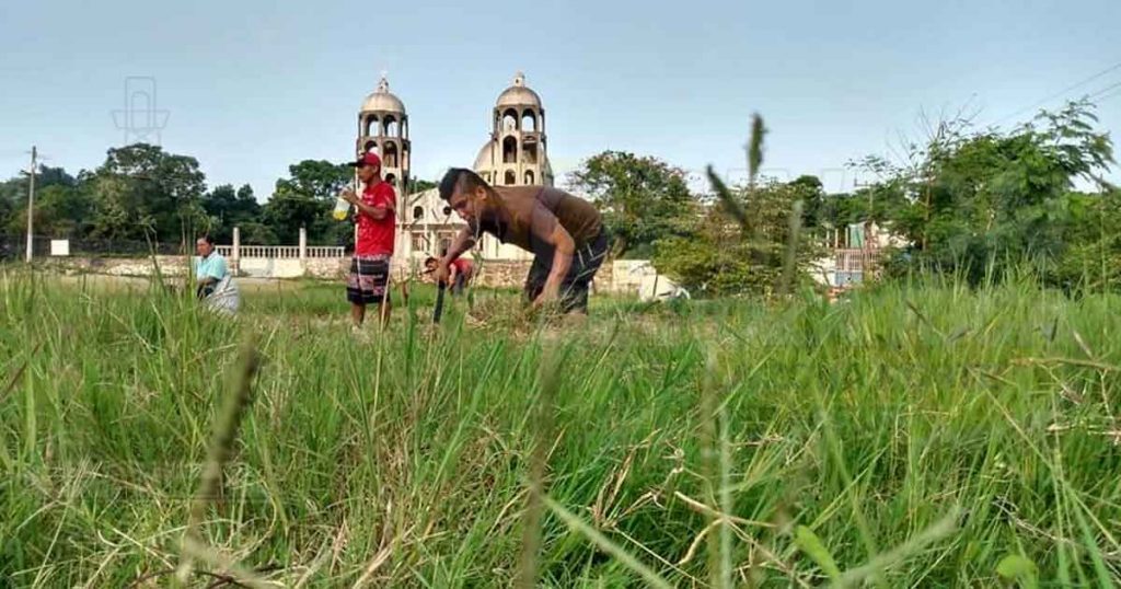 Campesinos de Las Lomas, Coyutla están alertas ante cualquier caso sospechoso en la comunidad