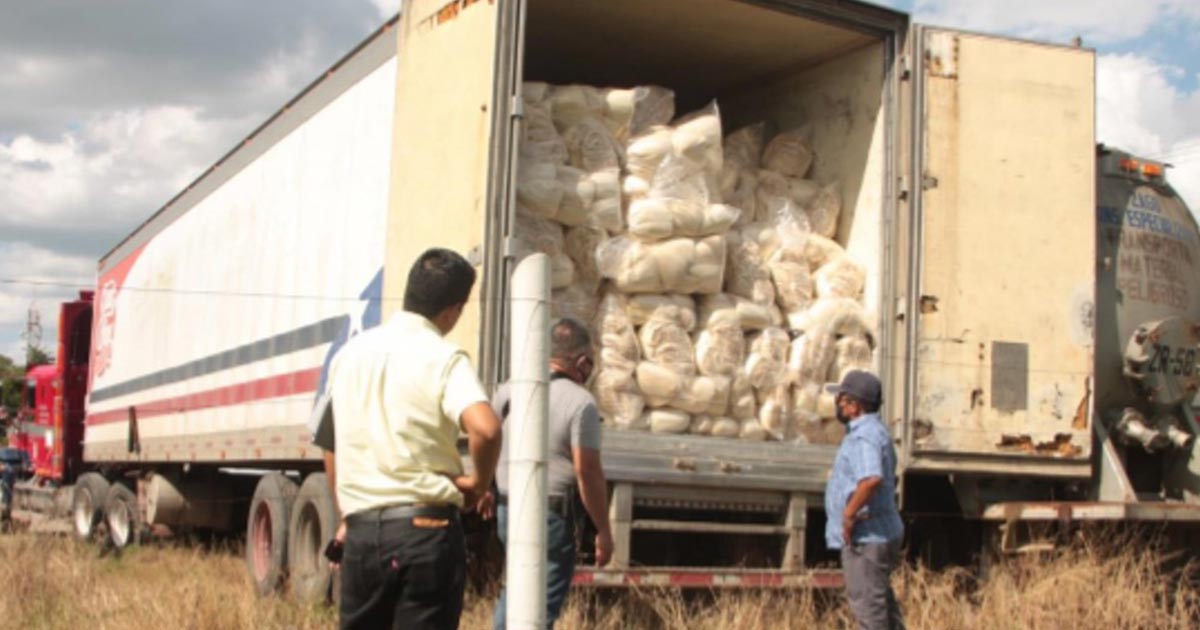 Vinculan a proceso a dos personas por diversos delitos federales en Veracruz