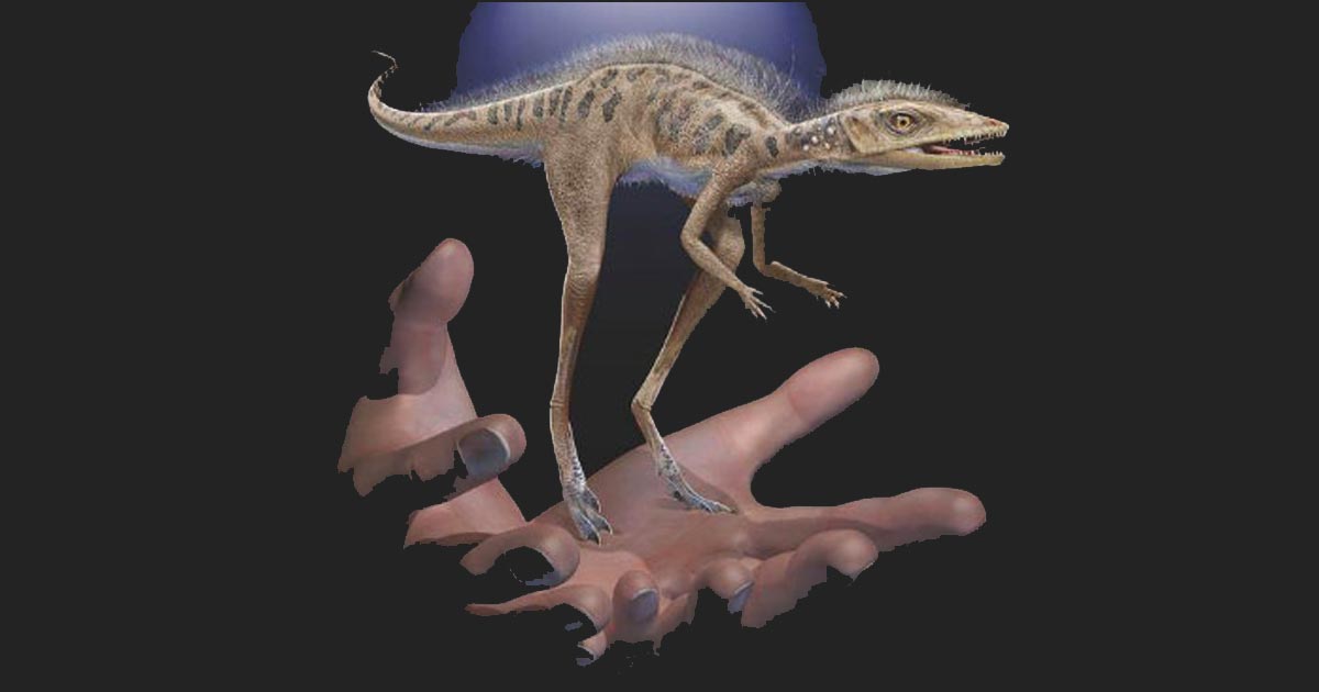 Descubren dinosaurio más pequeño que un teléfono celular