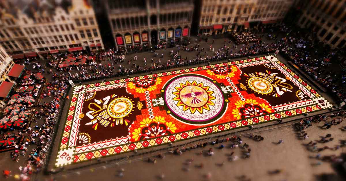 La alfombra de flores: el espectacular espectáculo efímero en la Grand Place de Bruselas, en un vídeo time-lapse