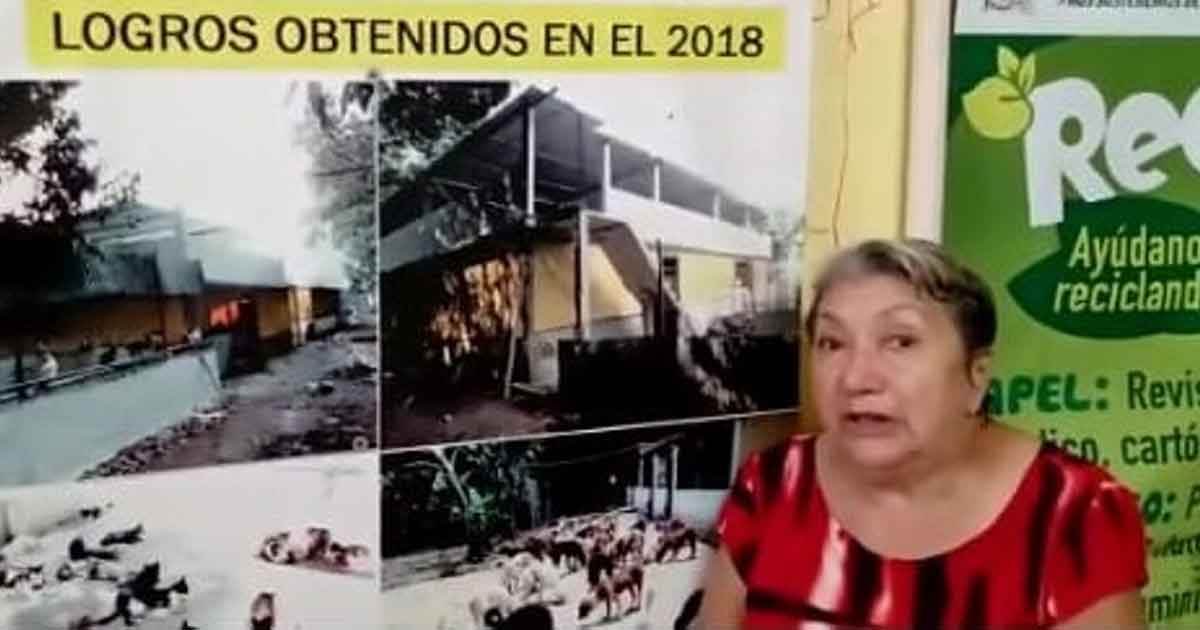 Piden apoyo para albergue de perros rescatados "La Roca" en Veracruz