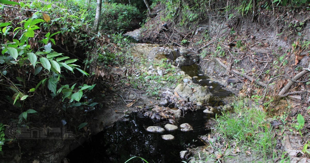 Fuga de hidrocarburo contamina arroyo