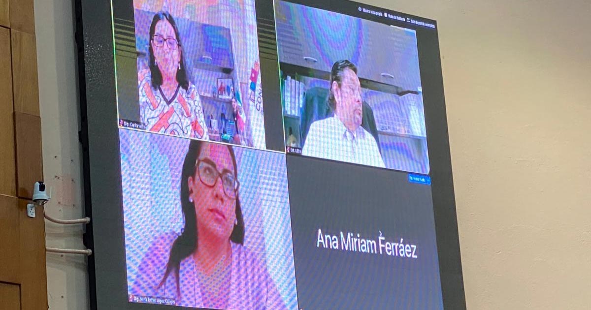 Proponen lineamientos para nombramiento de la titular de IVM