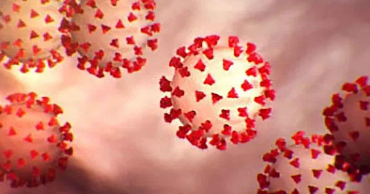 El COVID-19 no depende de estaciones y le gustan todos los climas: OMS