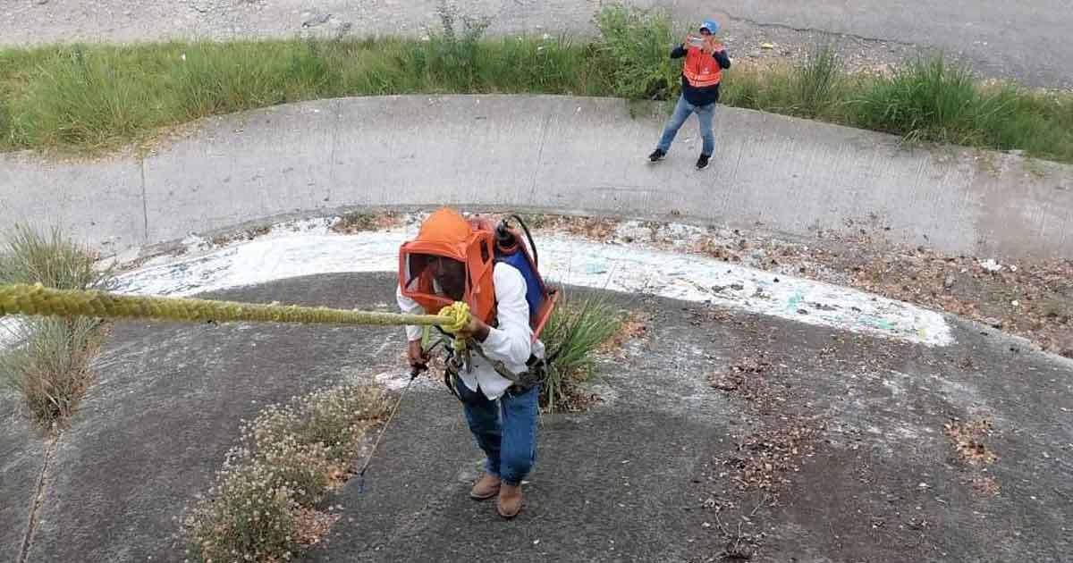 Aumentan presencia de enjambres