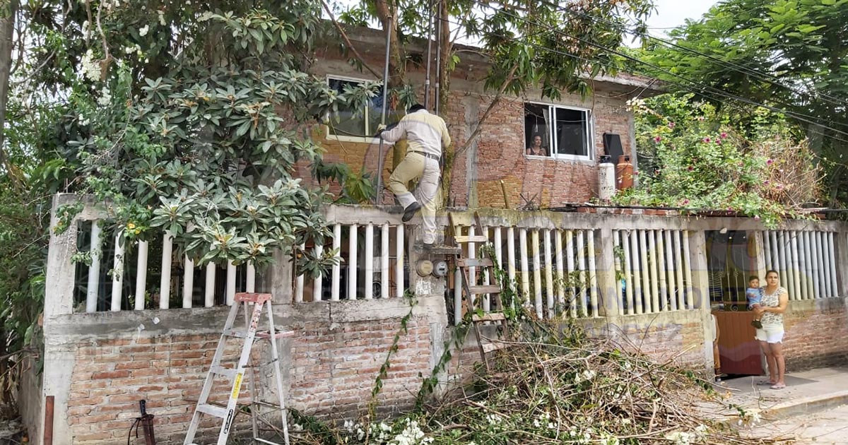 Jardinero a punto de electrocutarse