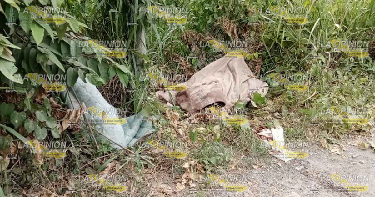 Localizan restos humanos en una parcela del Guayabo