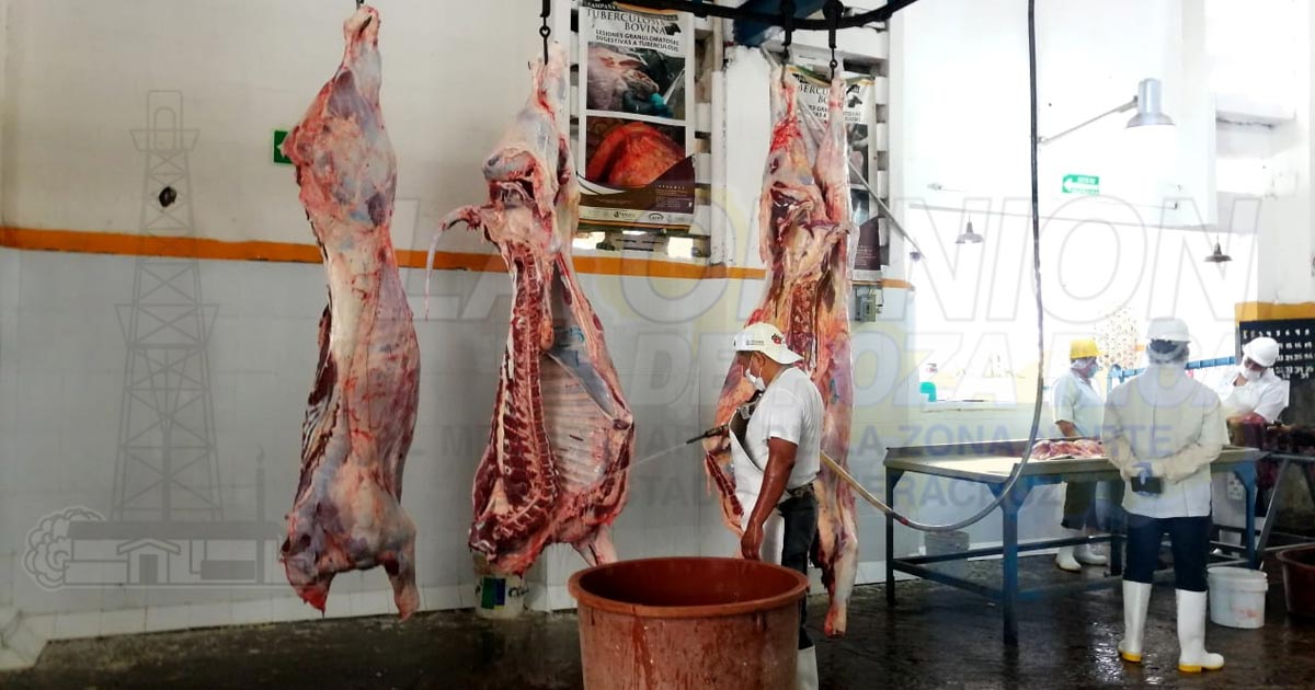 Vigilan que cárnicos estén libres de Clembuterol