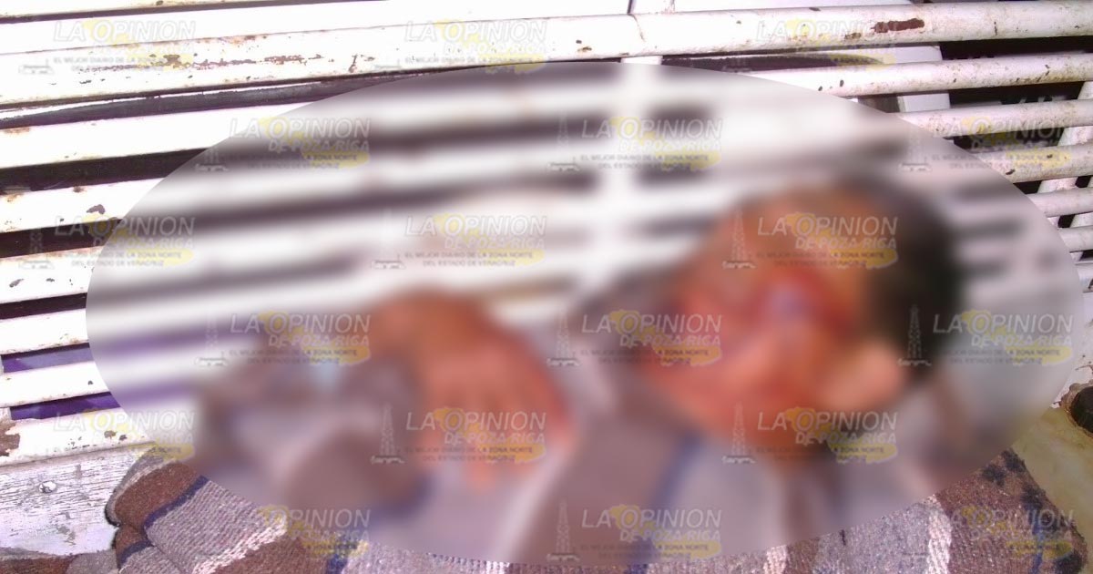 Abuelito cae de caballo y se corta con alambres de púas