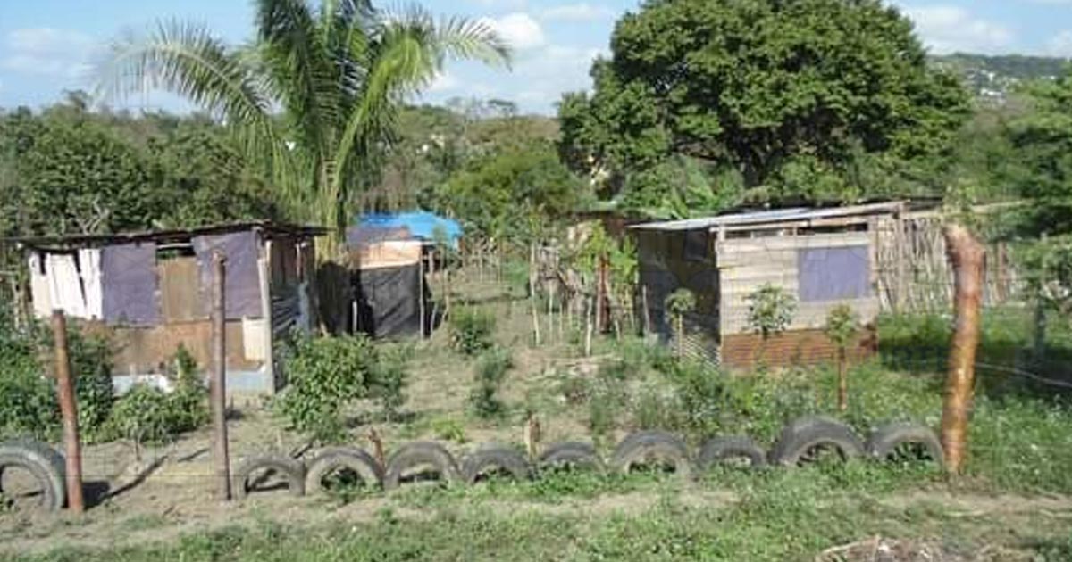 Buscan certeza jurídica familias de escasos recursos de la colonia Escolín, en Coatzintla