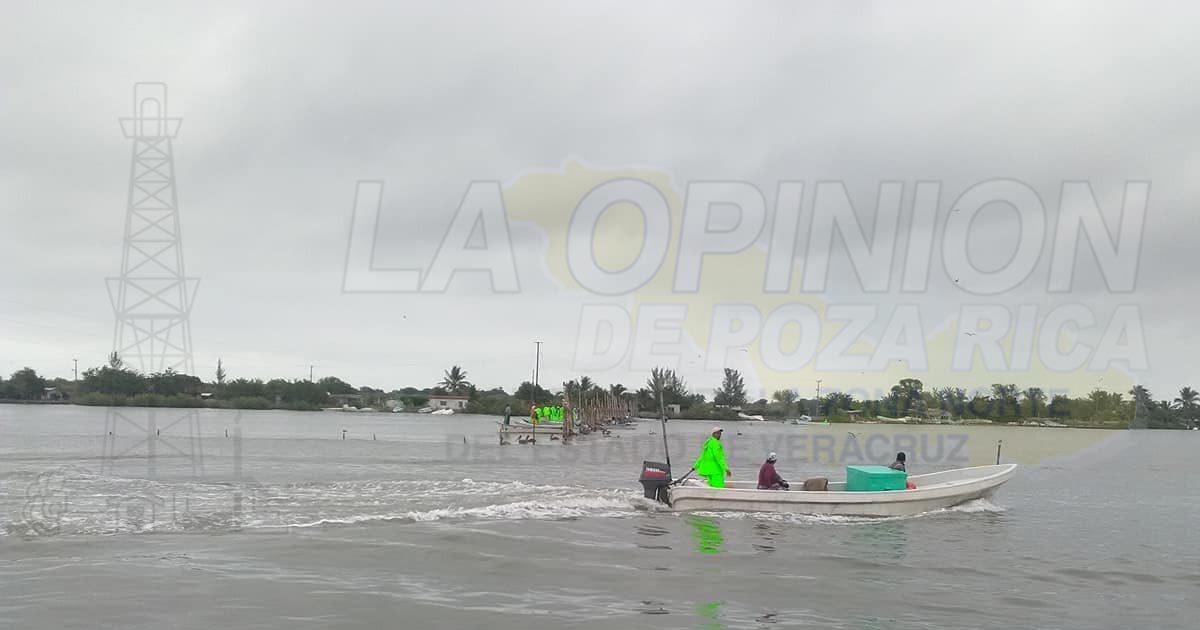Sobre explotado el sector pesquero