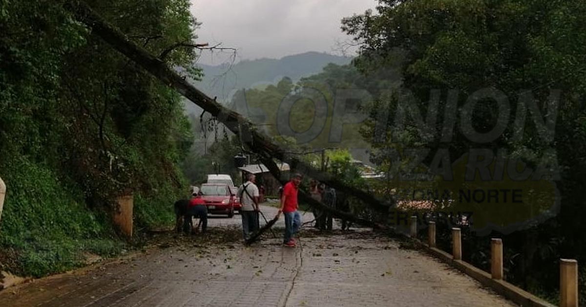 Lluvias provocan estragos en la Zona Norte de Puebla