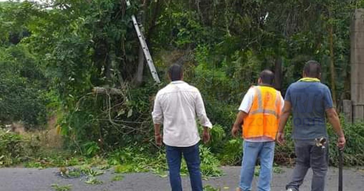 Protección Civil corta ramas de árboles que rozan con cables de la CFE, en Cazones