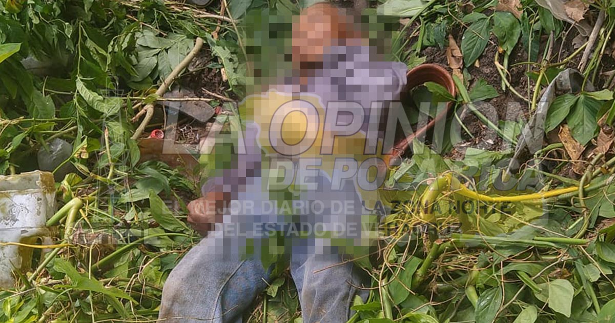 Abejas matan al "Chespirito"