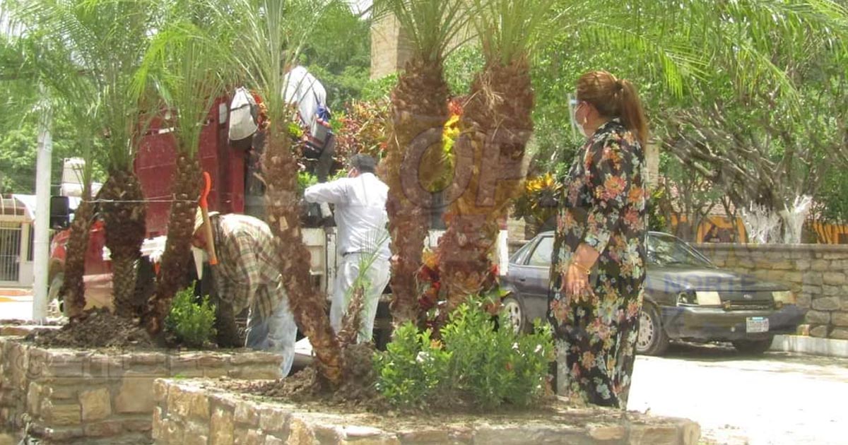 Ciudadanos se quejan de mala inversión reforestan dónde les conviene