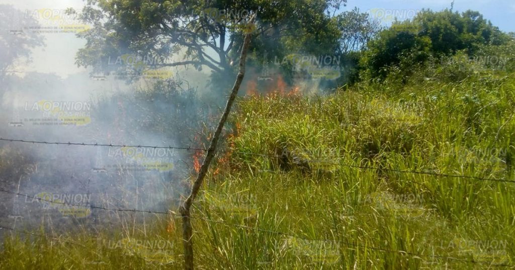 Guardavidas voluntarios sofocan pastizal incendiado en Costa Esmeralda