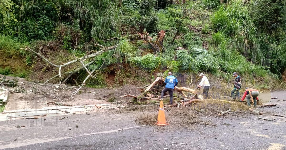 Daños también en Tierra Blanca, Atoyac y Tres Valles