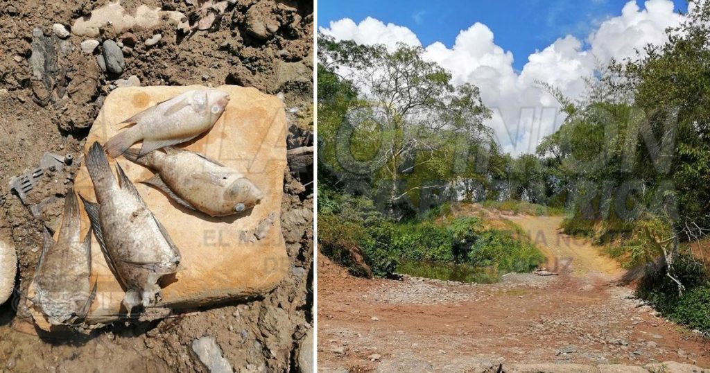 Bloque del río Tantala acaba con diversidad