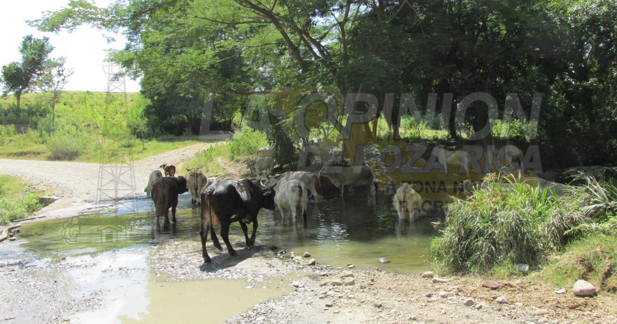 El campo, olvidado por la 4T