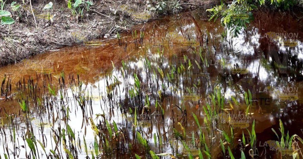 Productores de Maíz exigen a Pemex pagado de daños por fuga