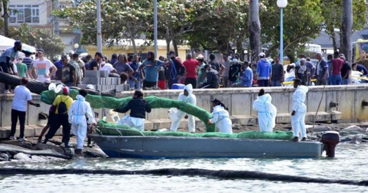 Por qué los habitantes de Mauricio recolectan pelo para proteger a su isla del derrame de petróleo que los amenaza