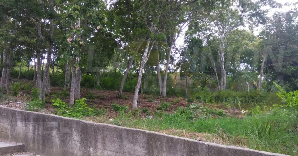 Ofrecen terreno para edificar obra común