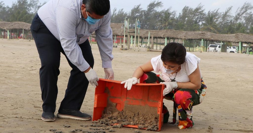 Protección a especies y medio ambiente, compromiso que se cumple en Tuxpan